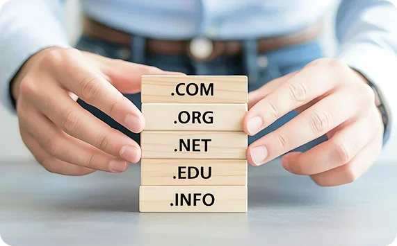 Domain / Hosting / Email / SSL