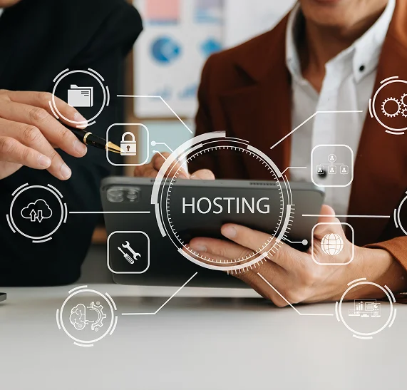 How Domain / Hosting / Email / SSL Is Executed