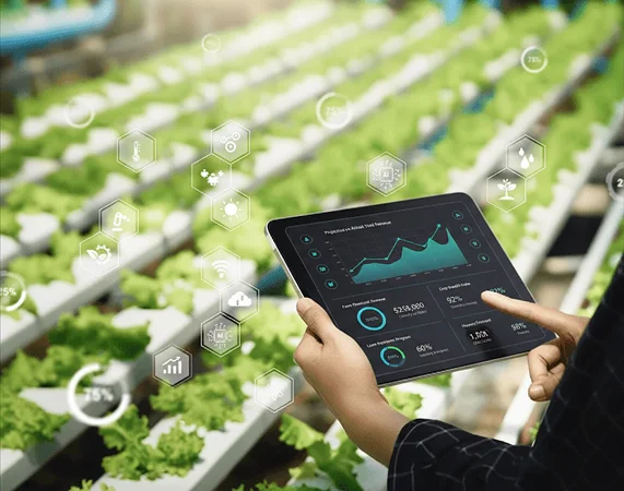 Integrated Ecosystem Design