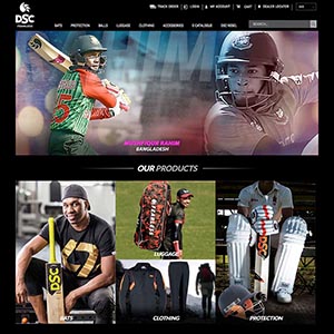 DSC Cricket