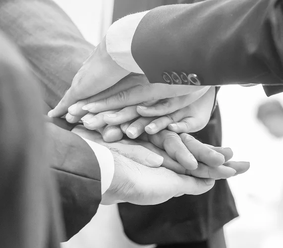 A Team Built for Long-Term Digital Evolution