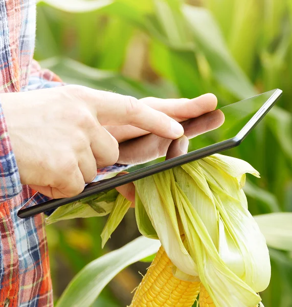 The Real Challenge in Agri Fintech Indusrty