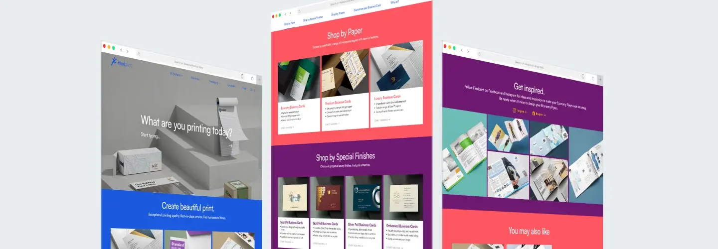 Web Designing & Development For Flexi Print