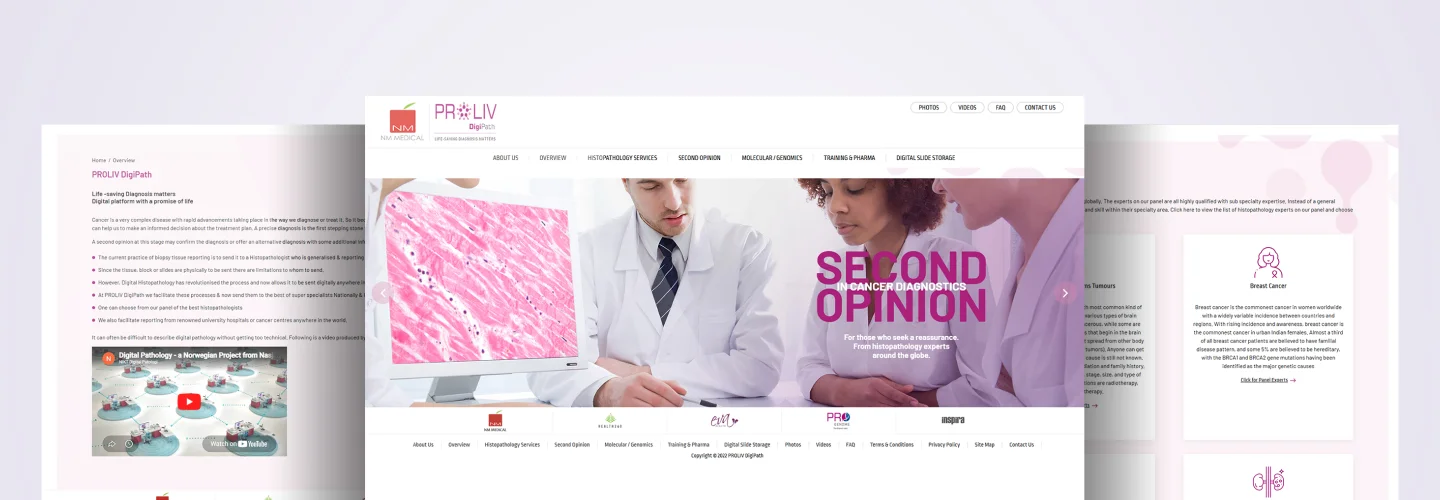 Website Designing For PROLIV DigiPath