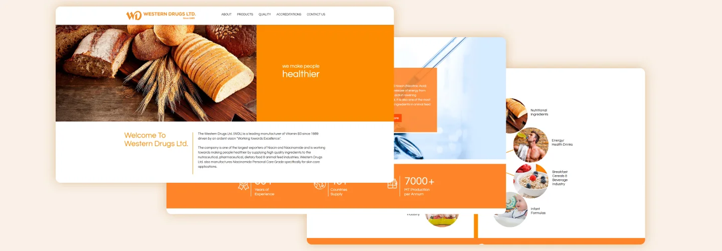 Website Designing For Western Drugs Ltd.